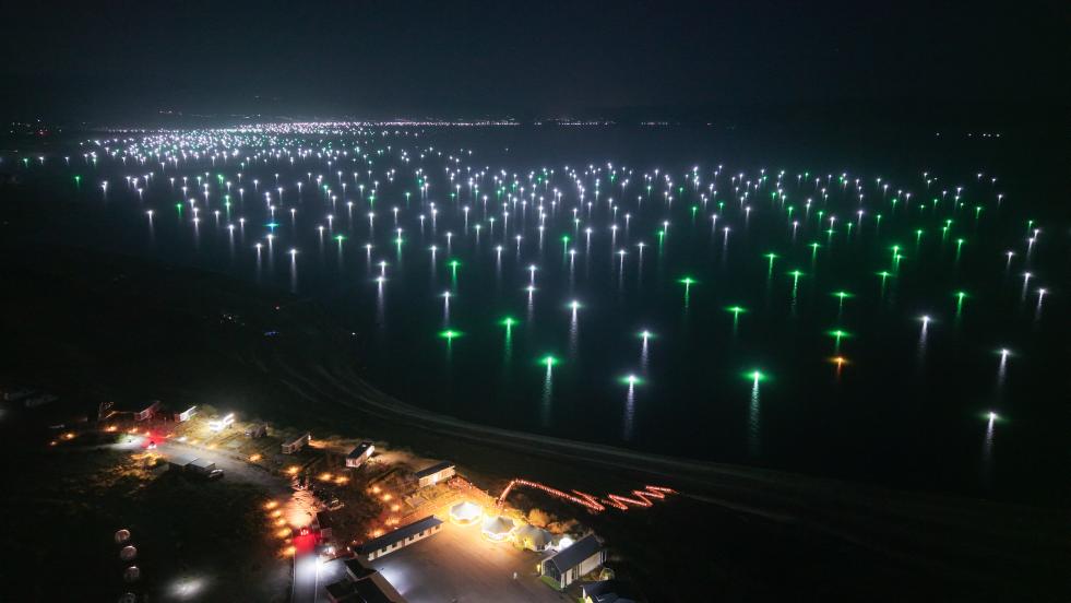 龙羊峡畔的高原“渔光曲”